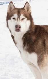 Флойд / Floyd