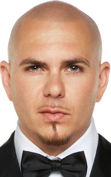 Питбуль / Pitbull
