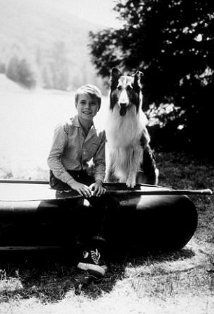 Джон Провост / Jon Provost