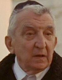 Золтан Гера / Zoltán Gera