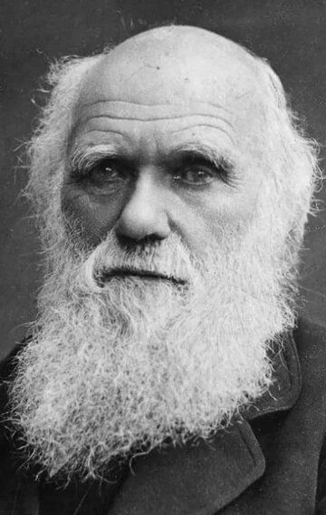 Чарльз Дарвин / Charles Darwin