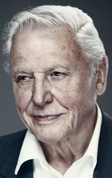Дэвид Аттенборо / David Attenborough