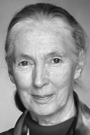 Джейн Гудолл / Jane Goodall
