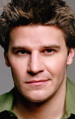 Дэвид Бореаназ / David Boreanaz
