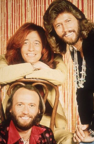 The Bee Gees / The Bee Gees
