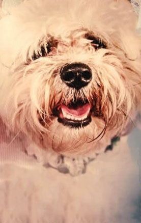  / Pippa