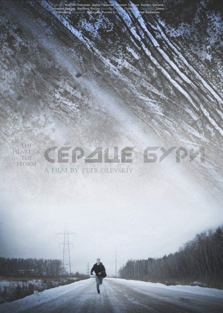 Сердце бури