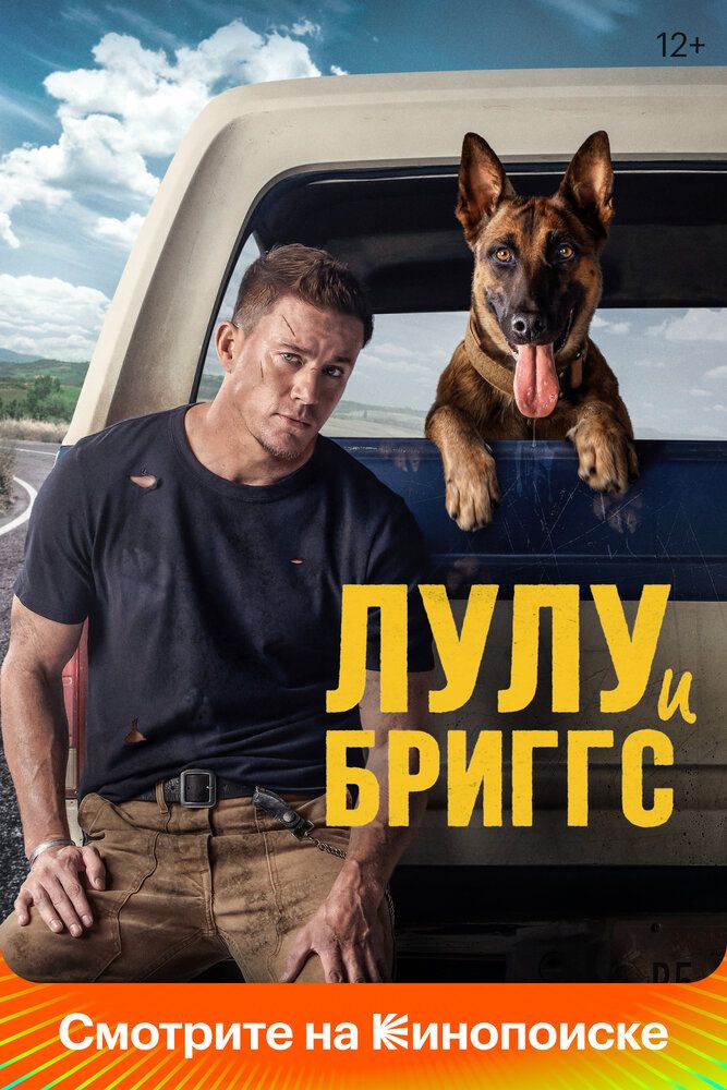 Дог