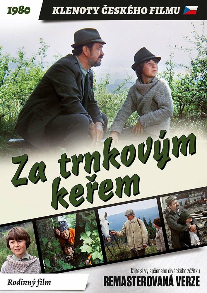 За кустами терновника