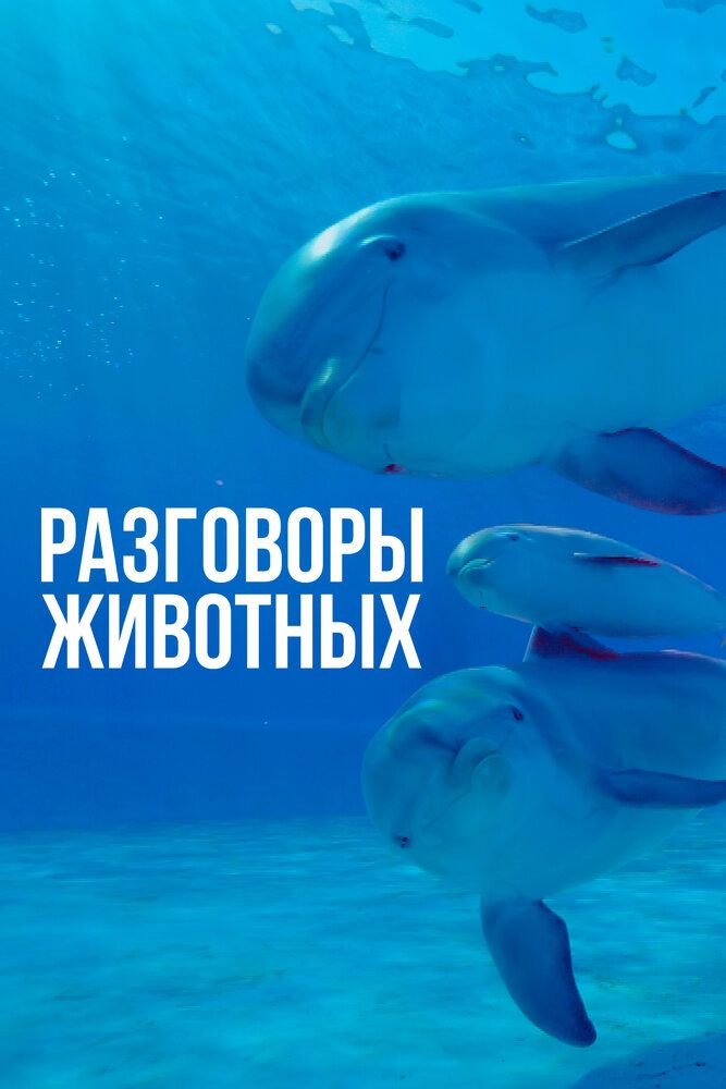 Разговоры животных