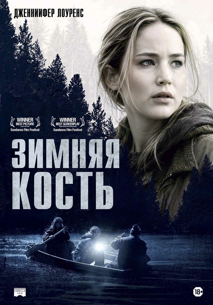 Зимняя кость