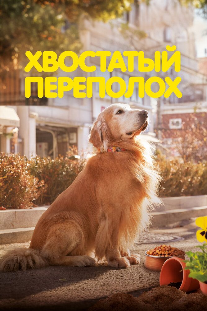 Собачьи дни
