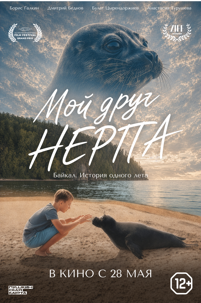 Мой друг нерпа