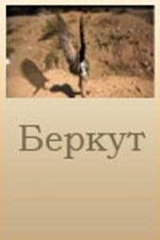 Беркут