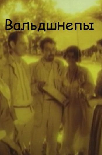 Вальдшнепы