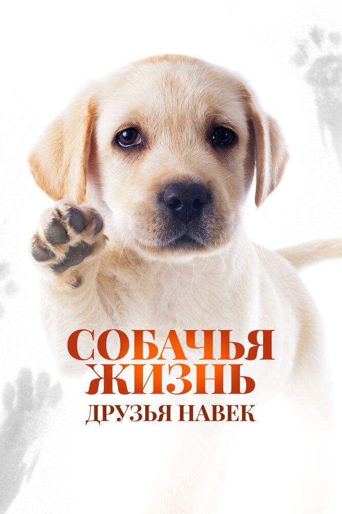 Всем любовь