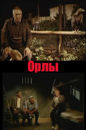 Орлы