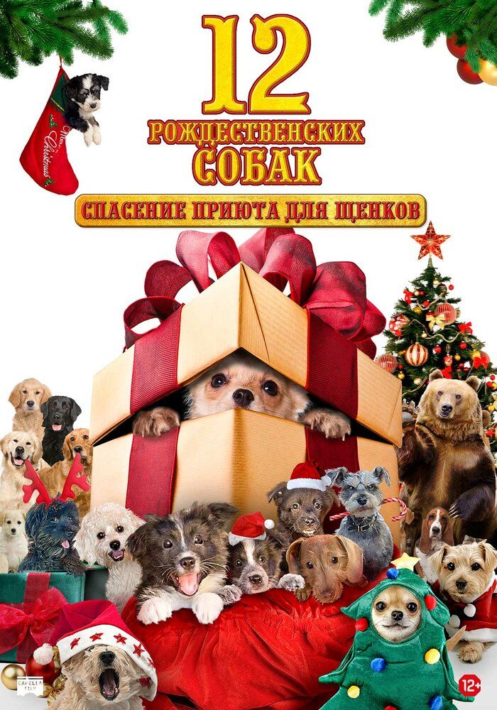 12 рождественских собак 2