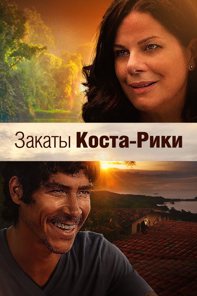 Библиотекарь