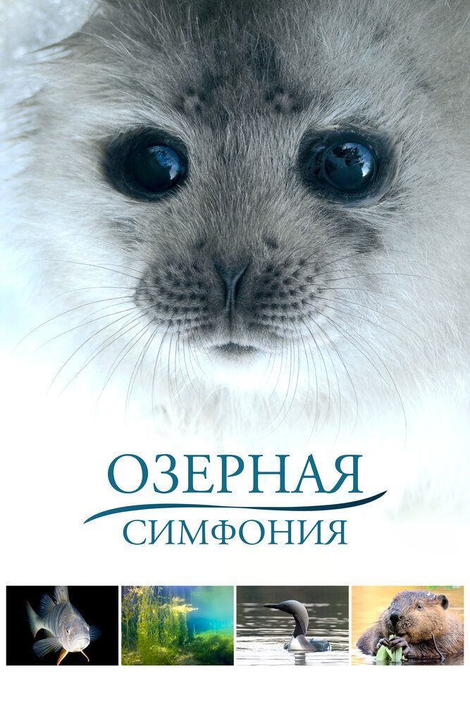 Сказка озера