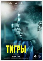 Тигры 