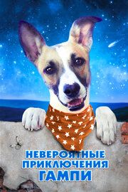 Гамп — пёс, который научил людей жить 