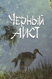Черный аист