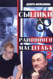 Сыщики районного масштаба
