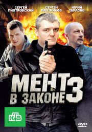 Мент в законе