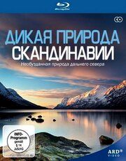 Дикая природа Скандинавии