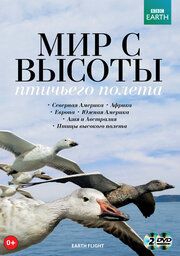 Мир с высоты птичьего полета