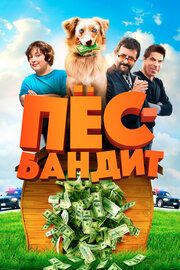 Пёс Бандит