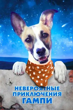 Гамп — пёс, который научил людей жить 