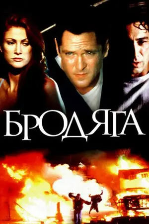 Бродяга