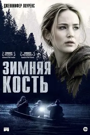 Зимняя кость