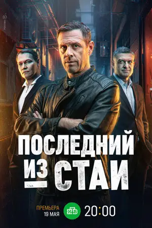 Последний из стаи