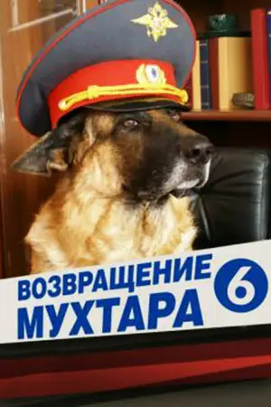 Возвращение Мухтара