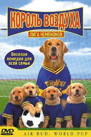 Король воздуха: Лига чемпионов